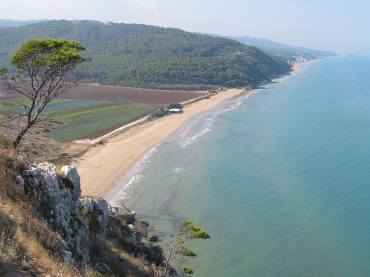 Villa Pineta Vista Mare 산 메나이오 외부 사진